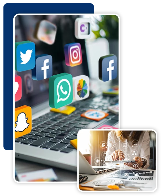 Target Audience for the Digital Marketing Bachelor's Program