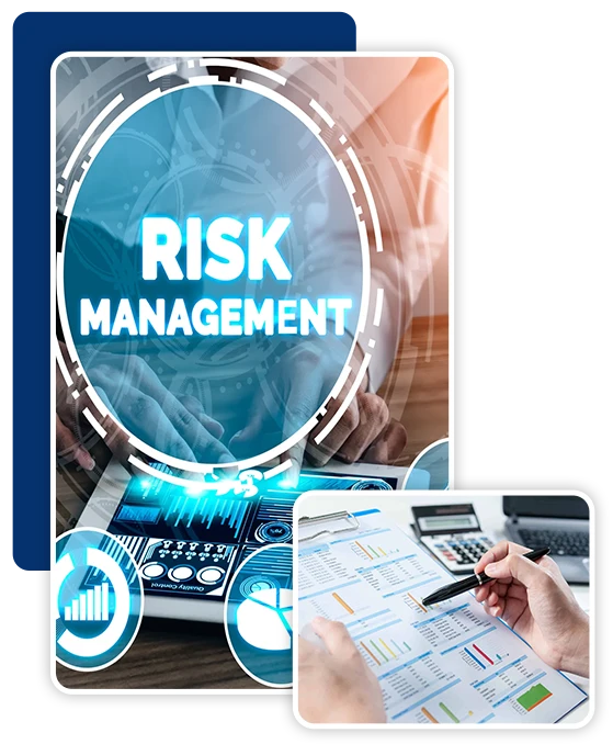 Target Group for Bachelor of Risk Management and Insurance Program